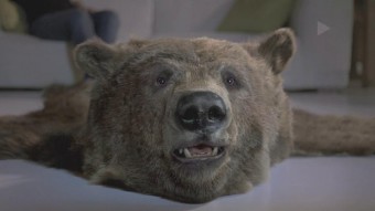  ‘The Bear’ Cleans Up in Overall Ad Awards