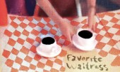 The Felice Brothers – Favorite Waitress