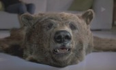 ‘The Bear’ Cleans Up in Overall Ad Awards