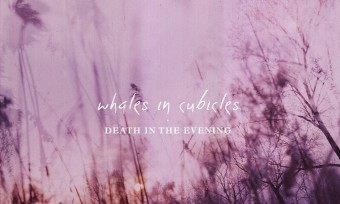 Whales in Cubicles - Death in the Evening