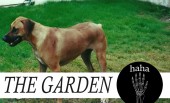 The Garden – HaHa